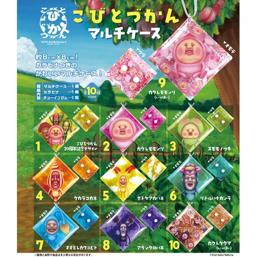 エフトイズ こびとづかんマルチケース 1粒入