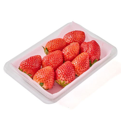 栃木県産 いちご(スカイベリー) 箱 270g 2パック入 1パック当たり6～12