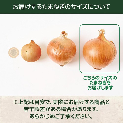 有機】北海道産 たまねぎ(転換期間中) 450g(2-3個) Green Beans