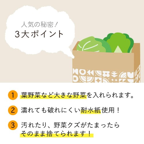 ネクスタ 紙製ストッカー L スイカ柄 5枚入