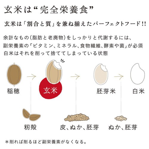 結わえる 寝かせ玄米ごはん 黒米ブレンド 160g