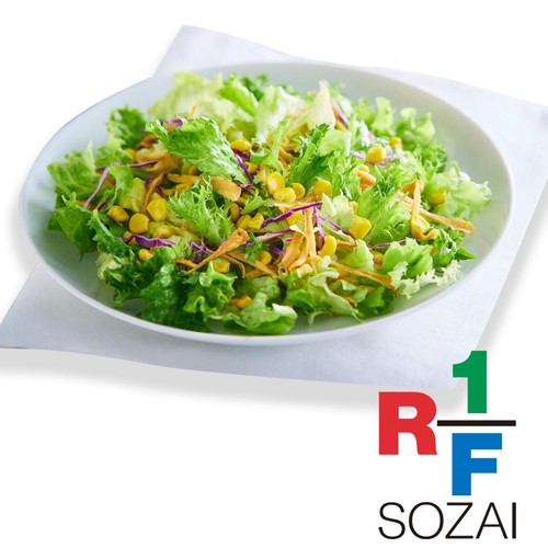 アール・エフ・ワン ふんわりレタスと焼きとうもろこしのサラダ 2人前 約215g