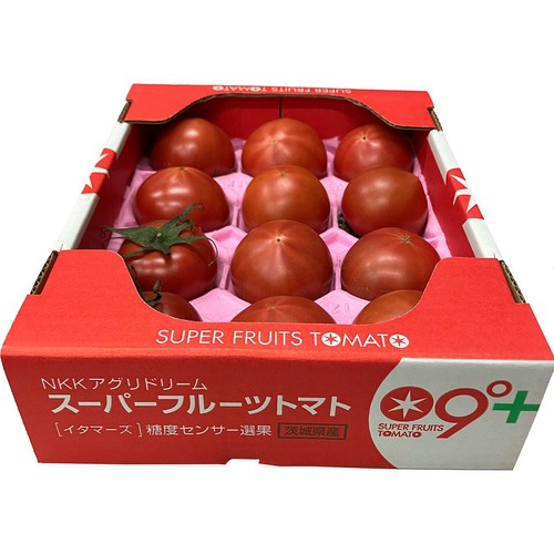 茨城県産 フルーツトマト 800g 1箱 Green Beans | グリーンビーンズ by