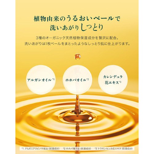 クナイプ 泡ボディウォッシュ グーテナハト ホップ&バレリアンの香り 450g