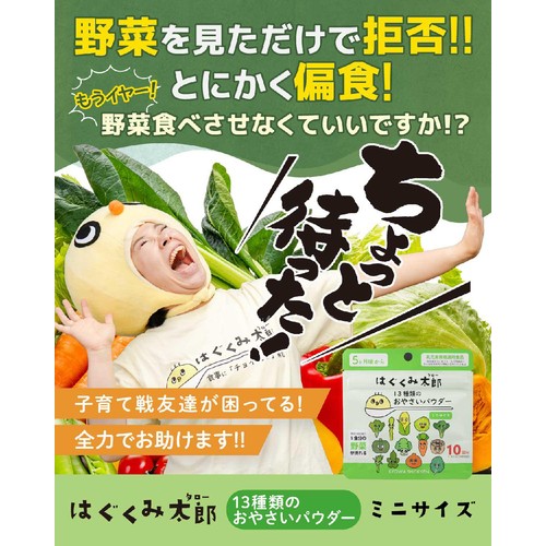 はぐくみ太郎 13種類 おやさいパウダー ミニサイズ 5ヶ月頃から 30g