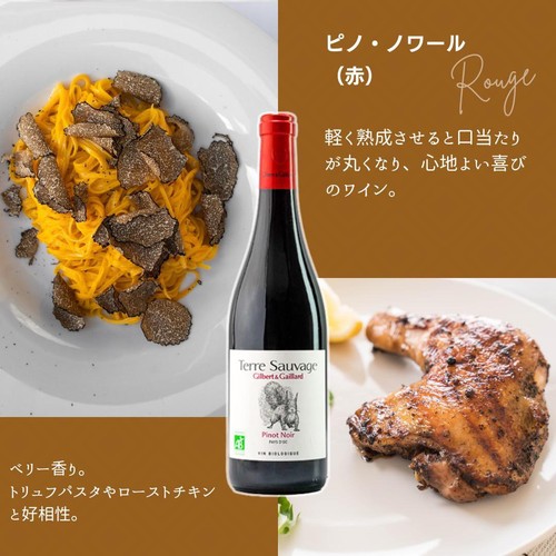 【フランス産】 Gilbert&Gaillard ピノ・ノワール 750ml