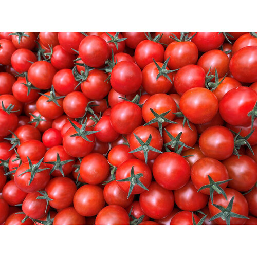 茨城県産イオン農場 まるまる赤トマトミニ(ラブリー藍) 200g