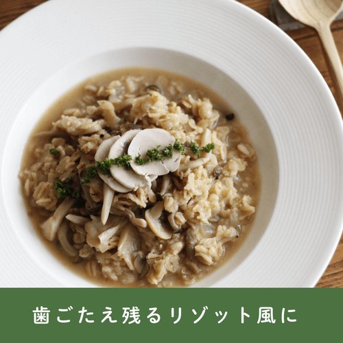 日本食品製造 オーガニックピュアトラディショナルオートミール 800g