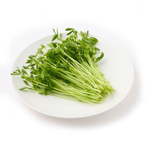 [鮮度+] サラダコスモ 豆苗 1袋