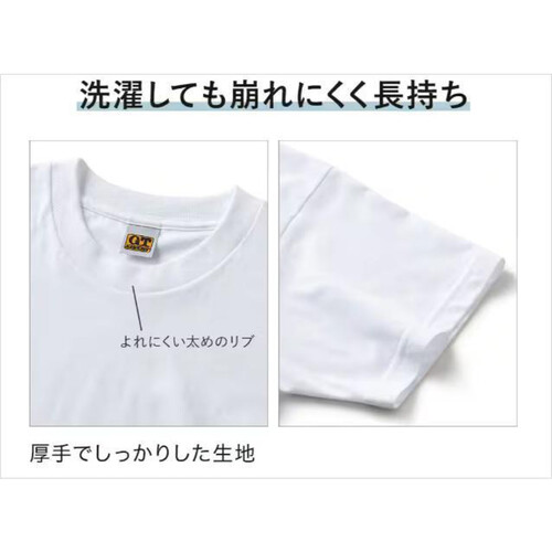 グンゼ 紳士 G.T.HAWKINS 2枚組ベーシックTシャツ L ホワイト