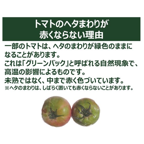 国内産 トマト 2個 1袋 Green Beans | グリーンビーンズ by AEON