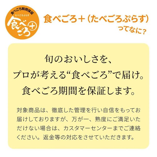 [食べごろ+] 長野県産 もも(あかつき) 大玉 2個 520g