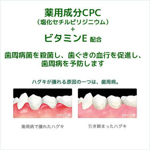 サンスター ガム・デンタルペースト ソルティミント 150g