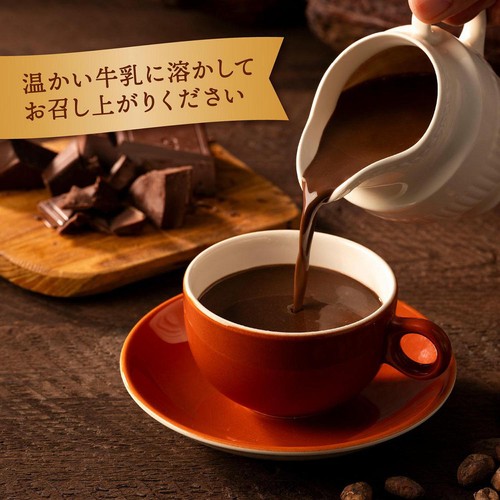 片岡物産 バンホーテン ホットチョコレート2025-2026 150g Green Beans