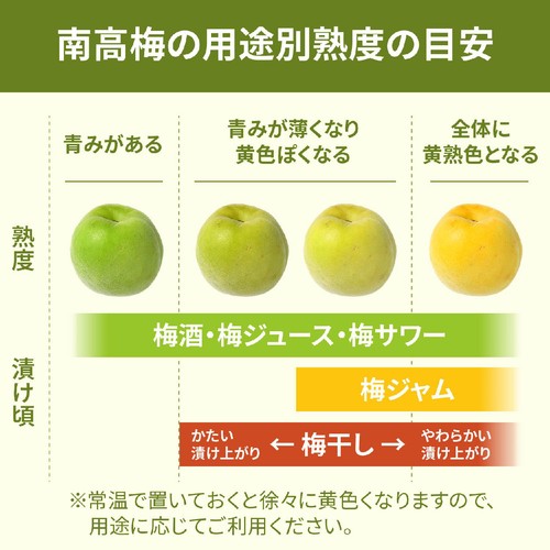 和歌山県産 南高梅(大粒) 1kg 1袋