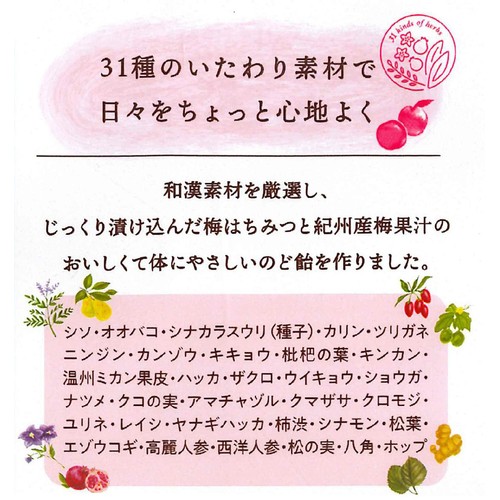 カンロ 健康のど飴梅 90g