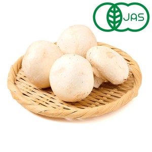 有機】山形県産 大粒マッシュルーム(ホワイト) 4個 1パック Green