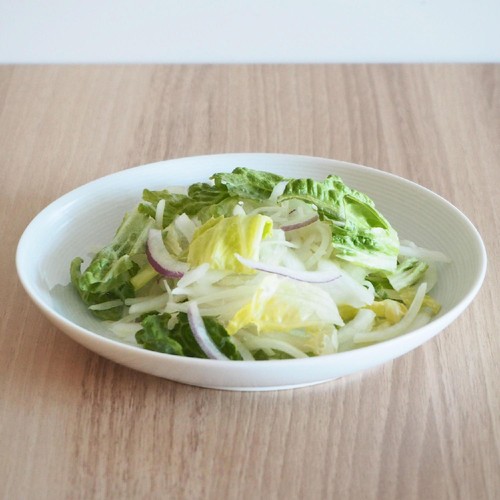 サラダクラブ 玉ねぎミックス 95g