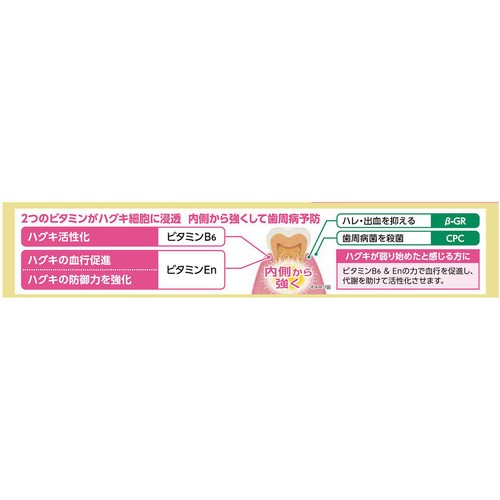 サンスター ガム・プレミアム デンタルペースト ハグキケア メディカルミント香味 90g