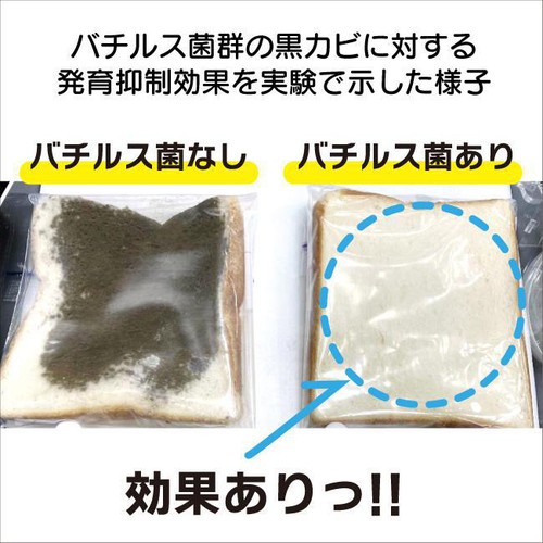 丹羽久 家じゅう置くだけ防カビビーズ 130g