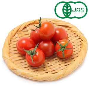 有機】国内産 ミニトマト 200g 1パック Green Beans | グリーン