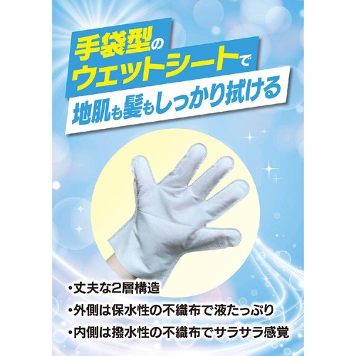 本田洋行 ドライシャンプー 手袋タイプ 5枚