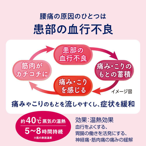 花王 めぐりズム 蒸気の温熱シート 下着の内側面に貼るタイプ 5枚