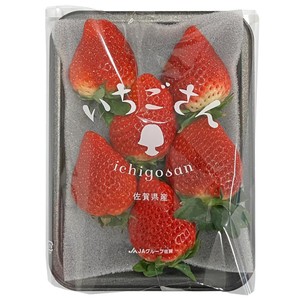 佐賀県産 いちごさん 平パック 240g 6～12粒 Green Beans | グリーン