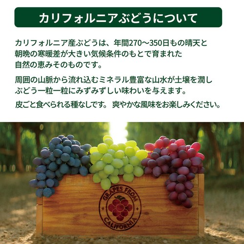 アメリカ産 まるごとグレープ(ミックス) 250g