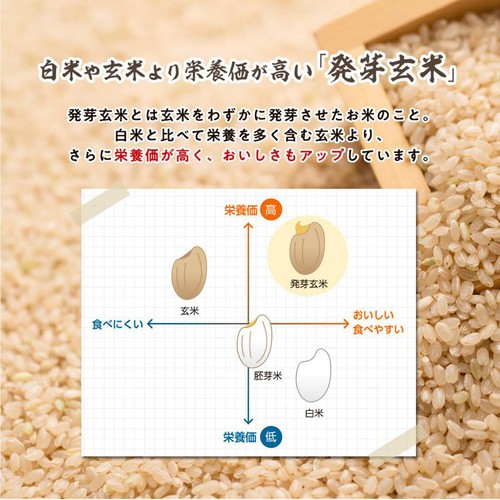 SBIアラプロモ 発芽玄米の底力 1kg