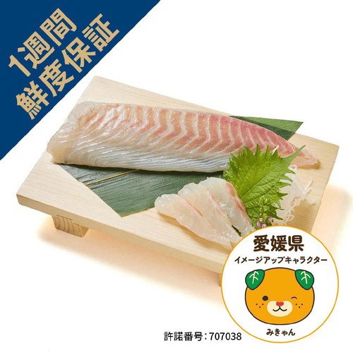 ［鮮度+］【冷蔵】愛媛県産 養殖活〆真鯛刺身用(背)  1冊 約110g
