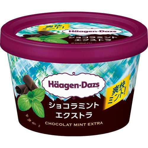 ハーゲンダッツ ミニカップ ショコラミントエクストラ 110ml