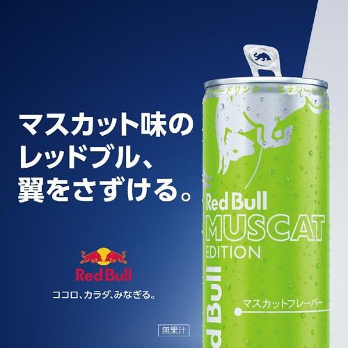 レッドブル エナジードリンク マスカットエディション 250ml