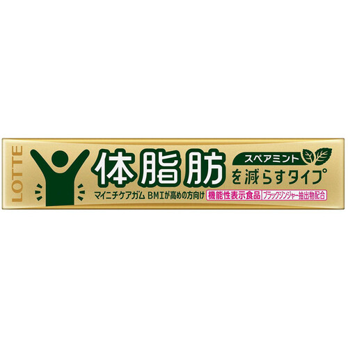 ロッテ マイニチケアガム 体脂肪を減らすタイプ 14粒入