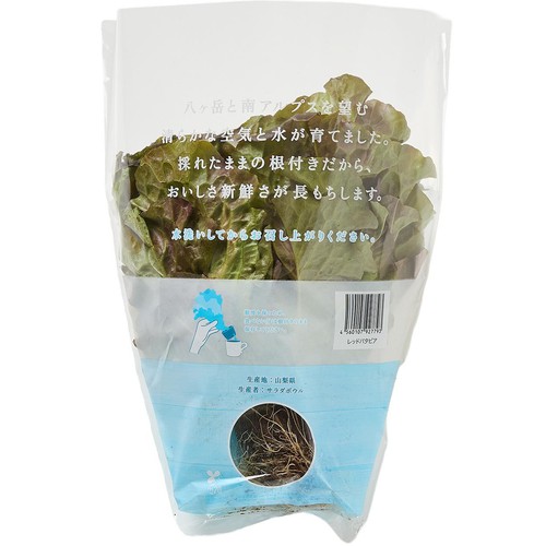 山梨県産 レッドバタビア 根付きリーフレタス 100g