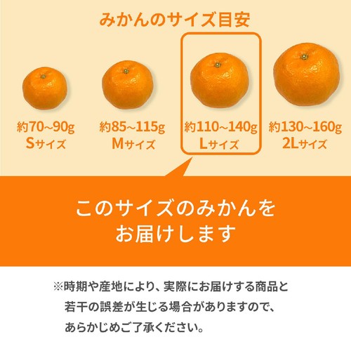 静岡県産 三ヶ日みかん Lサイズ 3kg 箱 Green Beans | グリーン