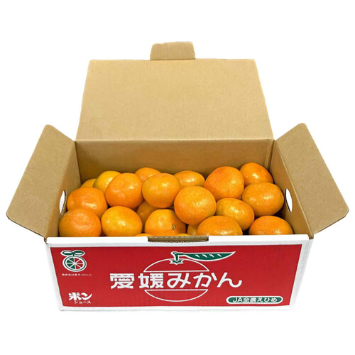 愛媛県産 みかん Sサイズ 箱 3kg Green Beans | グリーンビーンズ