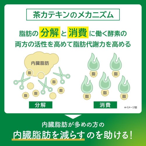 キリン ヘルシア緑茶 350ml