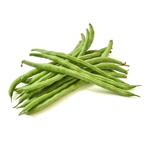 千葉県産 いんげん 100g