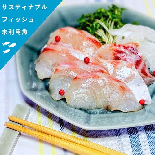 【冷凍】未利用魚 Umiのアトリエ サステナブルフィッシュ 愛媛県産ギンダイの刺身スライス 50g