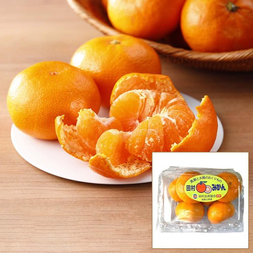 和歌山県 とろける旨さ!田村みかん L-Mサイズ 6-7個 Green Beans