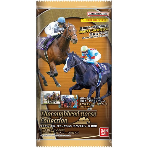 1992年G1レース馬券　エルウェーウィン　スエヒロジョウオー　新しい風 1992年G1レース馬券 エルウェーウィン スエヒロジョウオー 新しい風