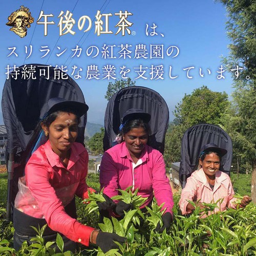 キリン 午後の紅茶  ミルクティー 500ml