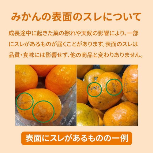 熊本県産 味咲の早出しみかん S-3Sサイズ 550g