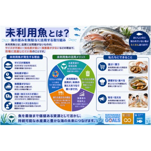 【冷凍】Umiのアトリエ 未利用魚 サステナブルフィッシュ 愛媛県産コロダイの刺身スライス 50g