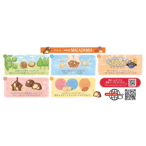 明治 マカダミアチョコレート ビッグパック 115g Green Beans