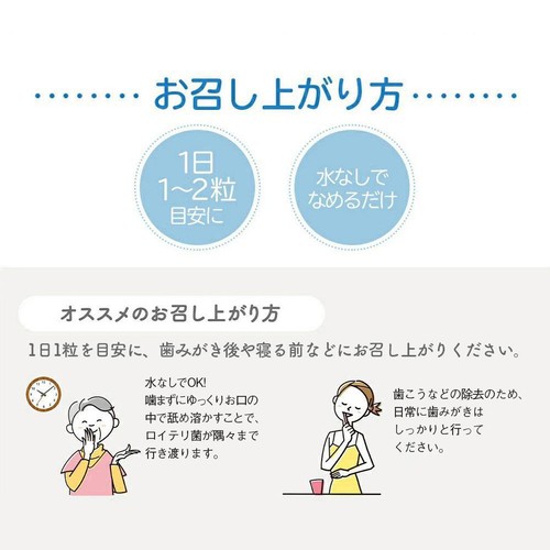 オハヨー ロイテリ 乳酸菌サプリメント BasicGuard 10粒入