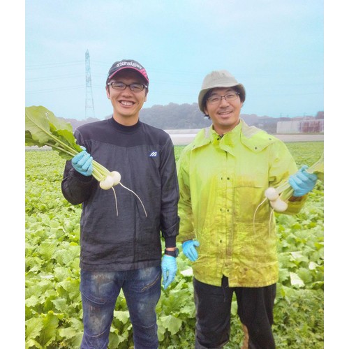 千葉県産イオン農場 かぶ 500g 3-5個 1袋