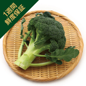 鮮度+］長崎県産 ブロッコリー 1個 Green Beans | グリーンビーンズ by