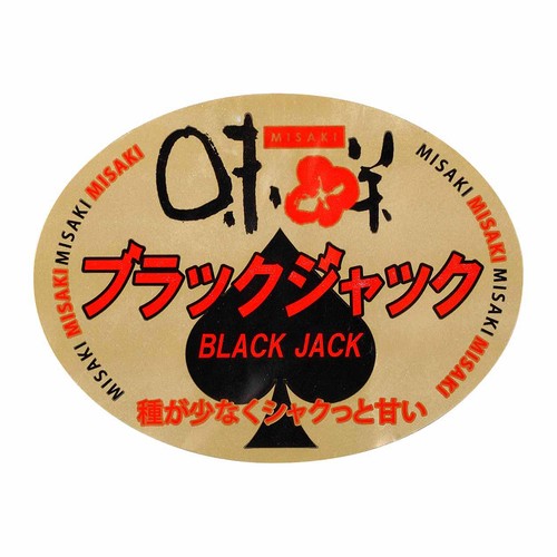 熊本県産 味咲のブラックジャック 大玉すいか 4.5kg 1玉